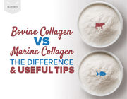 Hydrolyzed Bovine Collagen powder macromolecular collagen polypeptide halal collagen powder