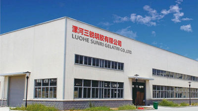 Κίνα Luohe Sunri Gelatin Co.,LTD. Εταιρικό Προφίλ